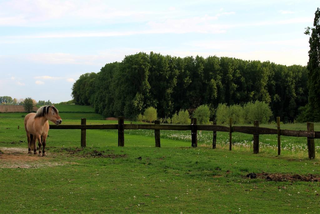 B&B Laurus Ypres Exterior foto